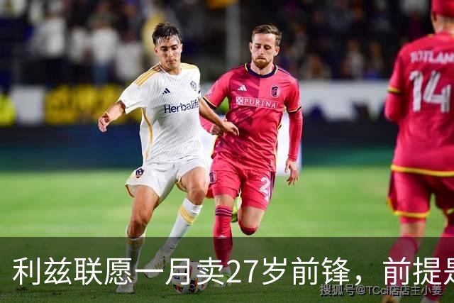利兹联愿一月卖27岁前锋，前提是先签替身