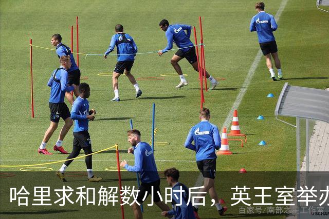 哈里求和解数小时后，英王室举办盛大国宴，凯特戴王冠光彩夺目