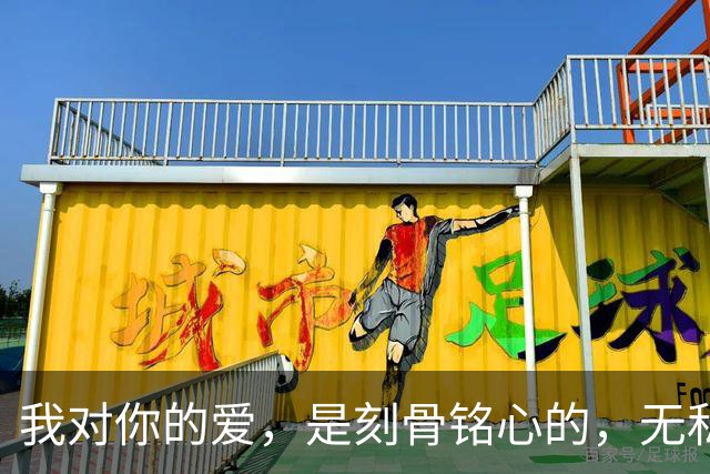 我对你的爱，是刻骨铭心的，无私奉献的